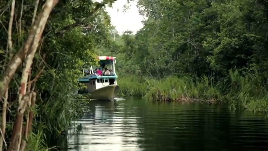 Orangutan Shaka Houseboat With Cabin Pangkalanbuun Exterior foto